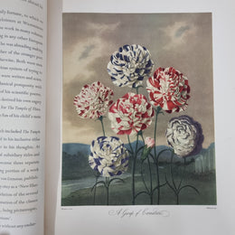 Thorntons Temple Of Flora With Coloured & Collotype Plates