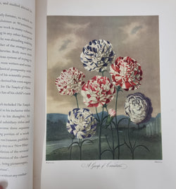 Thorntons Temple Of Flora With Coloured & Collotype Plates | Antique & Vintage | Moonee Ponds Antiques | Australia Wide Delivery