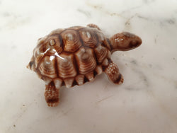 Large "Wade" Tortoise | Antique & Vintage | Moonee Ponds Antiques | Australia Wide Delivery