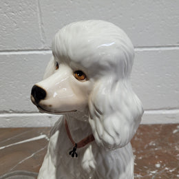 Vintage Italian ceramic Poodle figurine. It is beautifully detailed and in good original condition with no chips or cracks does have crazing to glaze.