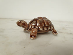 Large "Wade" Tortoise | Antique & Vintage | Moonee Ponds Antiques | Australia Wide Delivery