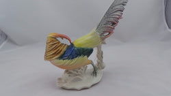 German Golden Pheasant | Antique & Vintage | Moonee Ponds Antiques | Australia Wide Delivery