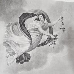 Thorntons Temple Of Flora With Coloured & Collotype Plates