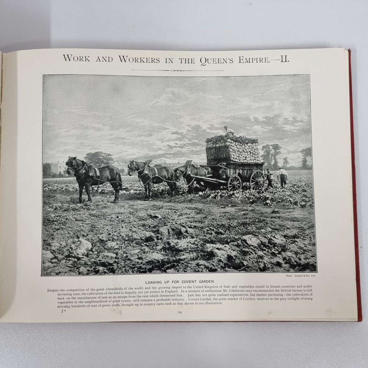 The Queens Empire – 2 Vols 1900-1901 with over 500 19th Century Photo Illustrations