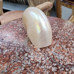 Interesting white Pearl Nautilus shell. Beautiful shape and colour and is in good original condition. Please view photos as they help form part of the description.