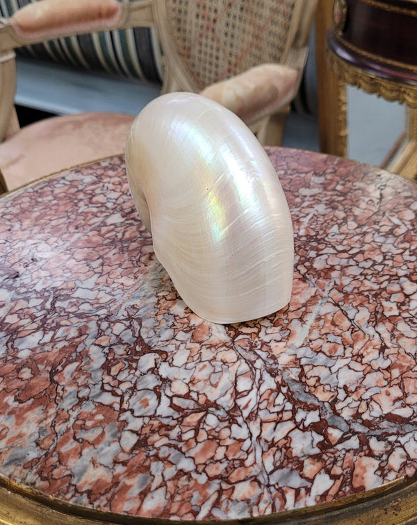 Interesting white Pearl Nautilus shell. Beautiful shape and colour and is in good original condition. Please view photos as they help form part of the description.