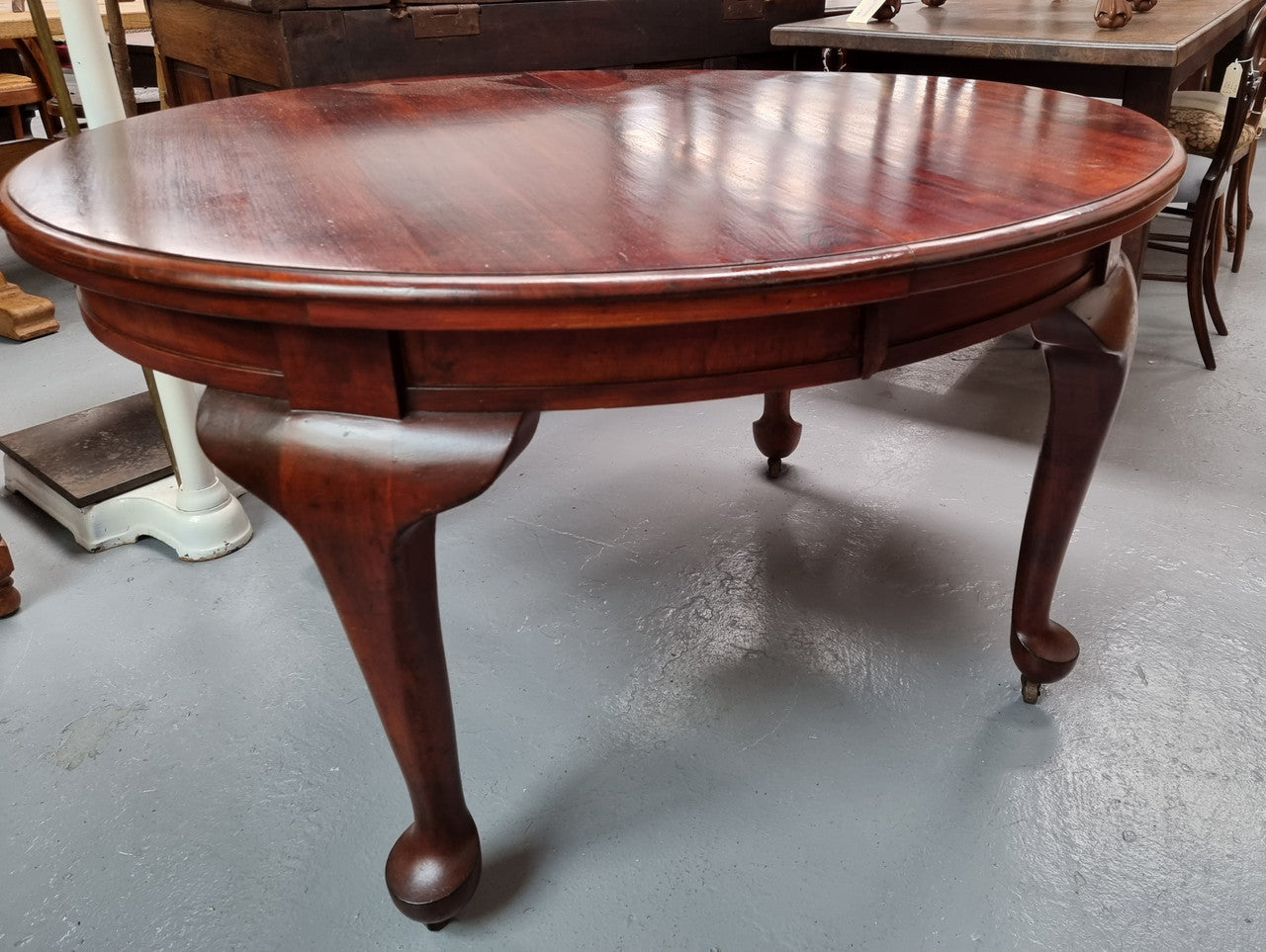 Australian Blackwood Fixed Oval Dining Table with Queen Anne Legs and Castors