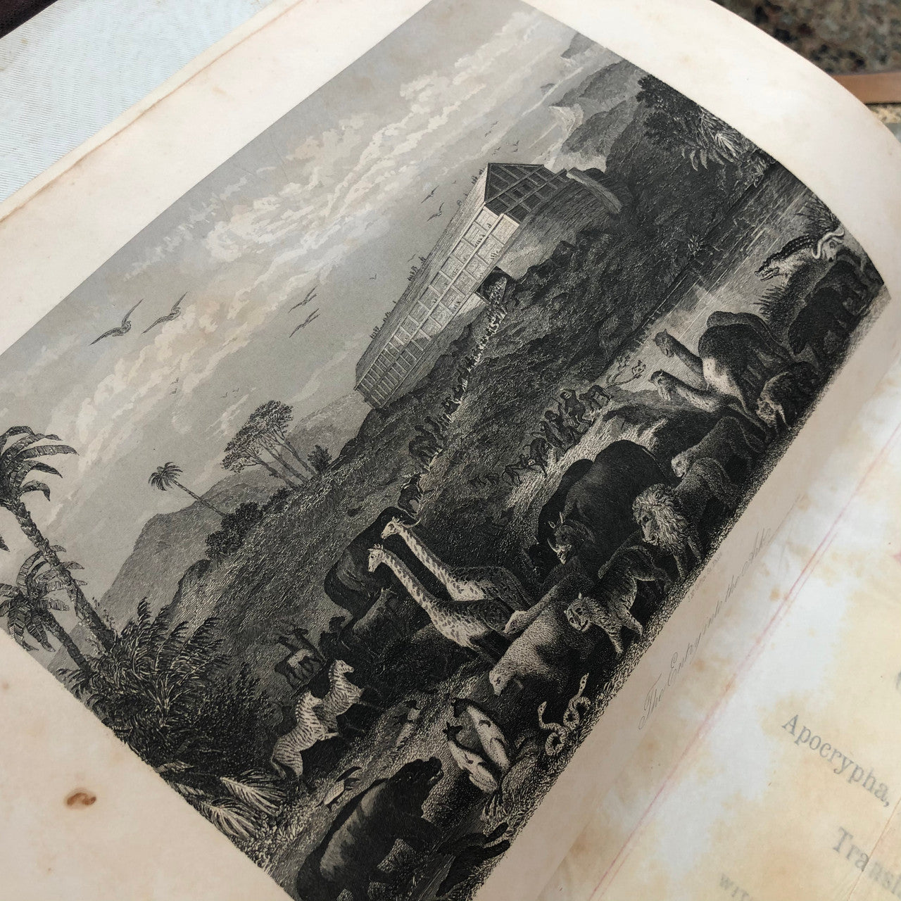 Victorian Holy Bible By Hubbard Bros Philadelphia | Antique & Vintage | Moonee Ponds Antiques | Australia Wide Delivery