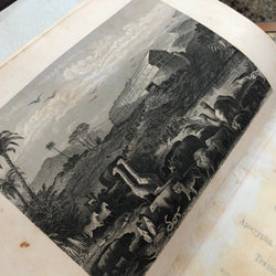 Victorian Holy Bible By Hubbard Bros Philadelphia | Antique & Vintage | Moonee Ponds Antiques | Australia Wide Delivery