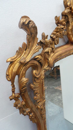 An Early 19 th Century Rare Rococo Highly Decorative Large Mirror | Antique & Vintage | Moonee Ponds Antiques | Australia Wide Delivery