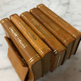 Vintage Pigskin Set Of Five Dictionaries-Translation Books