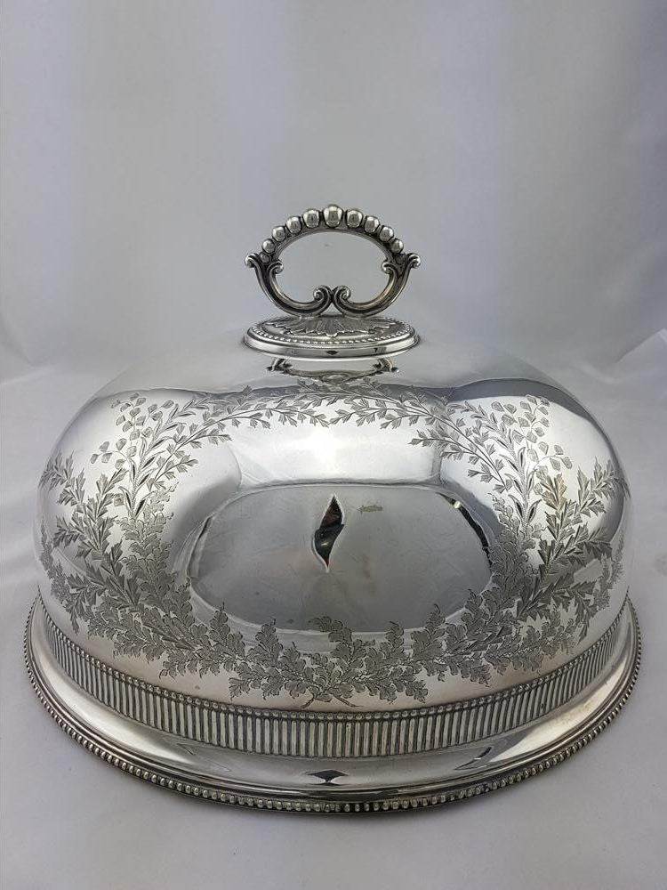 Victorian Meat Cover | Antique & Vintage | Moonee Ponds Antiques | Australia Wide Delivery