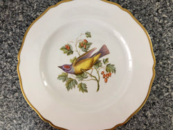 Moonee Ponds Antiques Spode Audubon Bird Plate "Arkansas Kingbird #7"