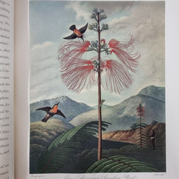 Thorntons Temple Of Flora With Coloured & Collotype Plates