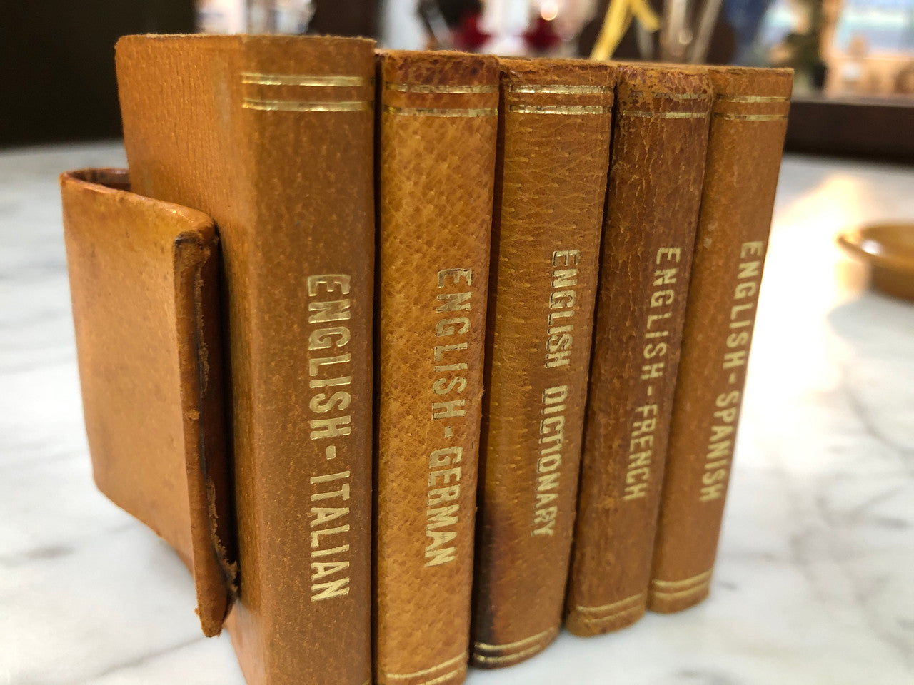 Vintage Pigskin Set Of Five Dictionaries-Translation Books