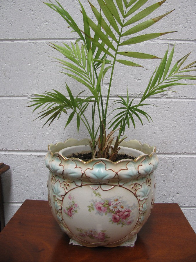 Gorgeous Edwardian Jardiniere | Antique & Vintage | Moonee Ponds Antiques | Australia Wide