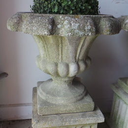 French Vintage Concrete Planters