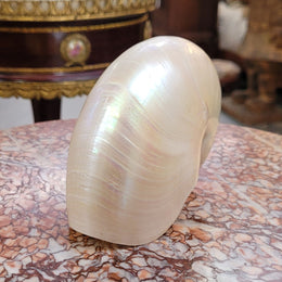 Interesting white Pearl Nautilus shell. Beautiful shape and colour and is in good original condition. Please view photos as they help form part of the description.