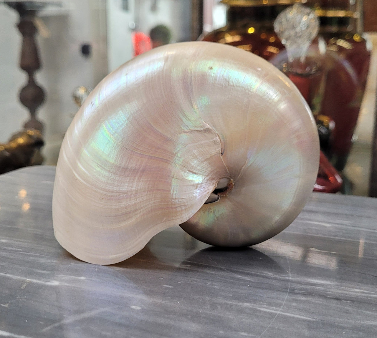 Interesting white Pearl Nautilus shell. Beautiful shape and colour and is in good original condition. Please view photos as they help form part of the description.