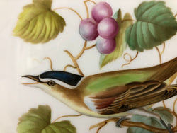 Spode Audubon Bird Plate "Red-eyed Vireo" | Antique & Vintage | Moonee Ponds Antiques | Australia Wide Delivery