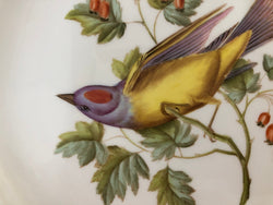 Moonee Ponds Antiques Spode Audubon Bird Plate "Arkansas Kingbird #7"