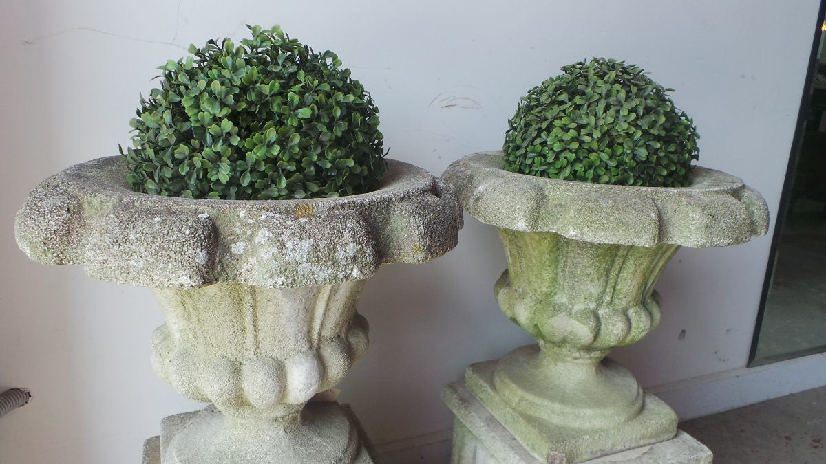 French Vintage Concrete Planters