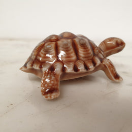 Large "Wade" Tortoise
