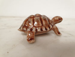 Large "Wade" Tortoise | Antique & Vintage | Moonee Ponds Antiques | Australia Wide Delivery
