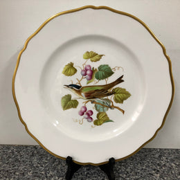 Moonee Ponds Antiques Spode Audubon Bird Plate "Red-eyed Vireo"
