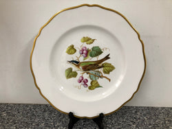 Spode Audubon Bird Plate "Red-eyed Vireo" | Antique & Vintage | Moonee Ponds Antiques | Australia Wide Delivery