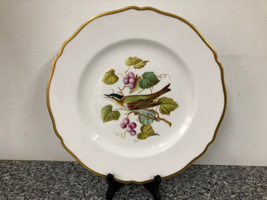 Moonee Ponds Antiques Spode Audubon Bird Plate "Red-eyed Vireo"