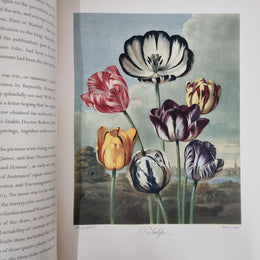 Thorntons Temple Of Flora With Coloured & Collotype Plates