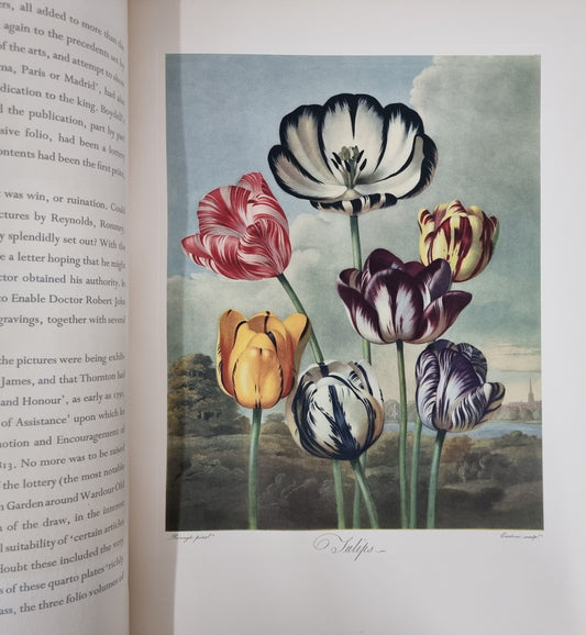 Thorntons Temple Of Flora With Coloured & Collotype Plates