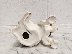 Vintage Sylvac Cocker Spaniel Model 18 | Antique & Vintage | Moonee Ponds Antiques | Australia Wide Delivery