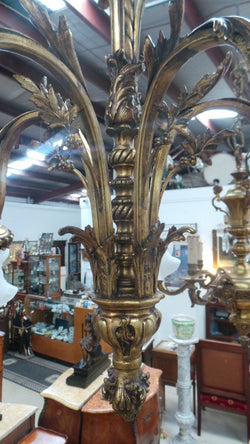 French Gilt Bronze Chandelier | Antique & Vintage | Moonee Ponds Antiques | Australia Wide Delivery