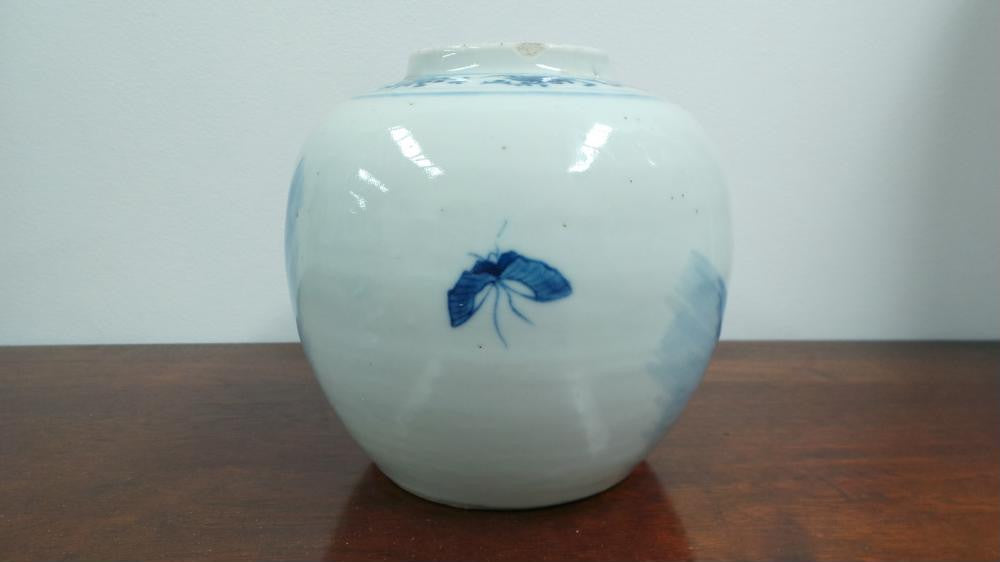 Antique 19th Century Chinese Ginger Jar