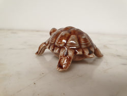 Large "Wade" Tortoise | Antique & Vintage | Moonee Ponds Antiques | Australia Wide Delivery