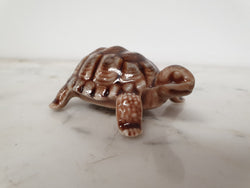Large "Wade" Tortoise | Antique & Vintage | Moonee Ponds Antiques | Australia Wide Delivery