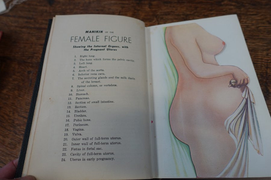 Ladies Handbook