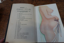 Ladies Handbook | Antique & Vintage | Moonee Ponds Antiques | Australia Wide Delivery
