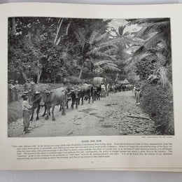 The Queens Empire – 2 Vols 1900-1901 with over 500 19th Century Photo Illustrations