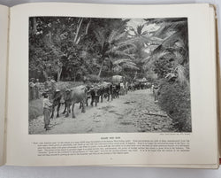 The Queens Empire – 2 Vols 1900-1901 with over 500 19th Century Photo Illustrations | Antique & Vintage | Moonee Ponds Antiques | Australia Wide Delivery