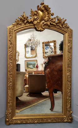 Late 19th Century French Louis XV Style Gilt Wall Mirror | Antique & Vintage | Moonee Ponds Antiques | Australia Wide Delivery