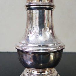 Hecworth Sugar Shaker