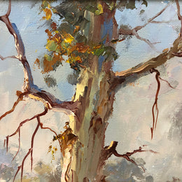Oil On Board By Bill Ambagtsheer Titled "Grazing Near Beechworth "