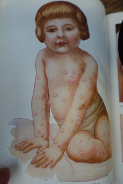 Ladies Handbook Of Home Treatment | Antique & Vintage | Moonee Ponds Antiques | Australia Wide Delivery