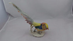 German Golden Pheasant | Antique & Vintage | Moonee Ponds Antiques | Australia Wide Delivery