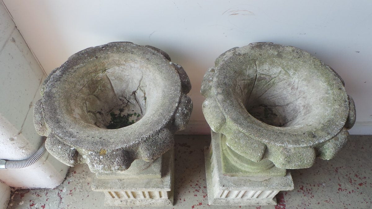 French Vintage Concrete Planters