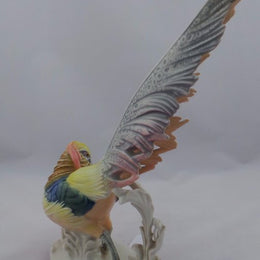 German Golden Pheasant