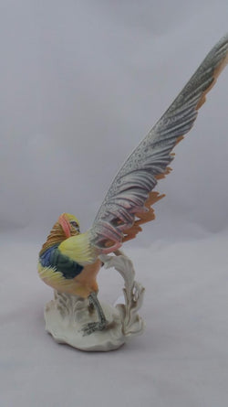German Golden Pheasant | Antique & Vintage | Moonee Ponds Antiques | Australia Wide Delivery